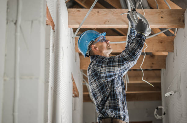 Best Electric Panel Repair  in Valley Falls, KS